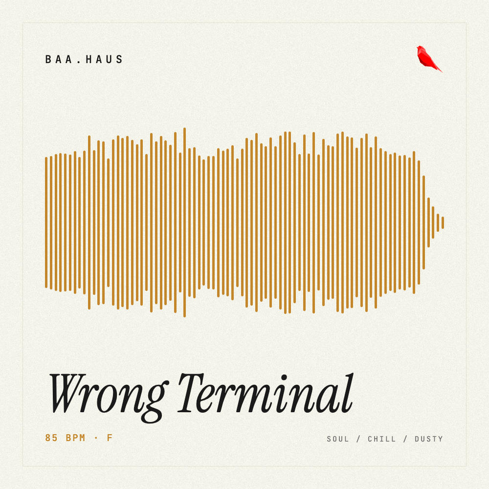 Wrong Terminal